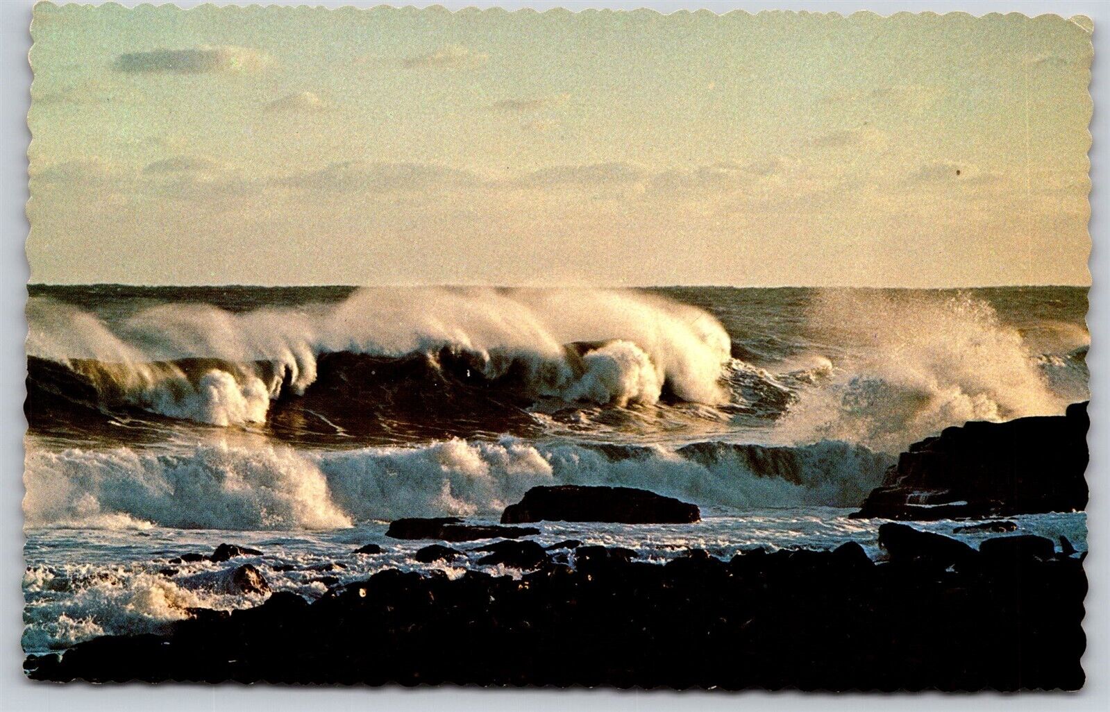 Postcard Raging Surf along the Maine Coast L112