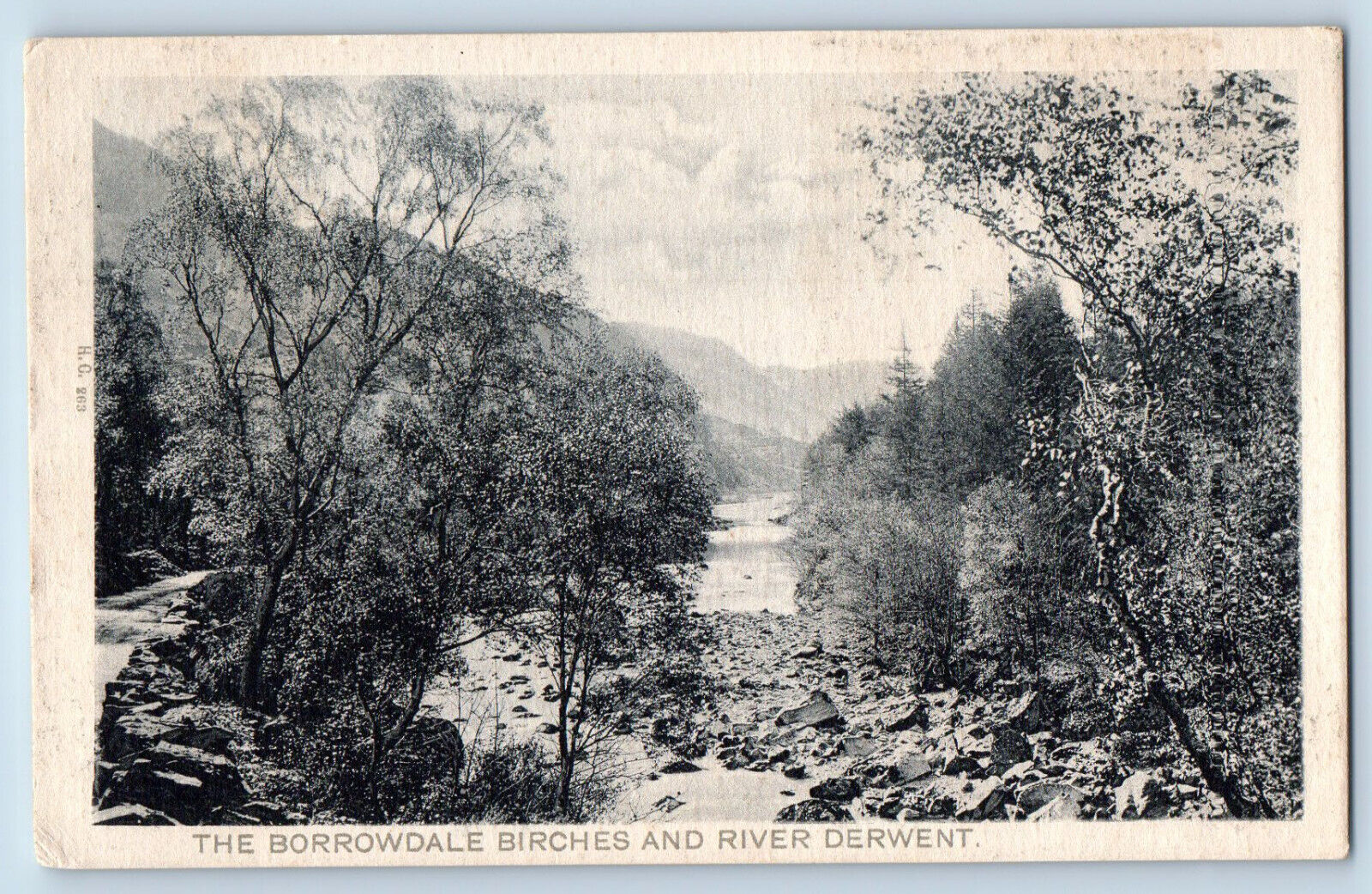 England Postcard The Borrowdale Birches and River Derwent c1930\'s Vintage