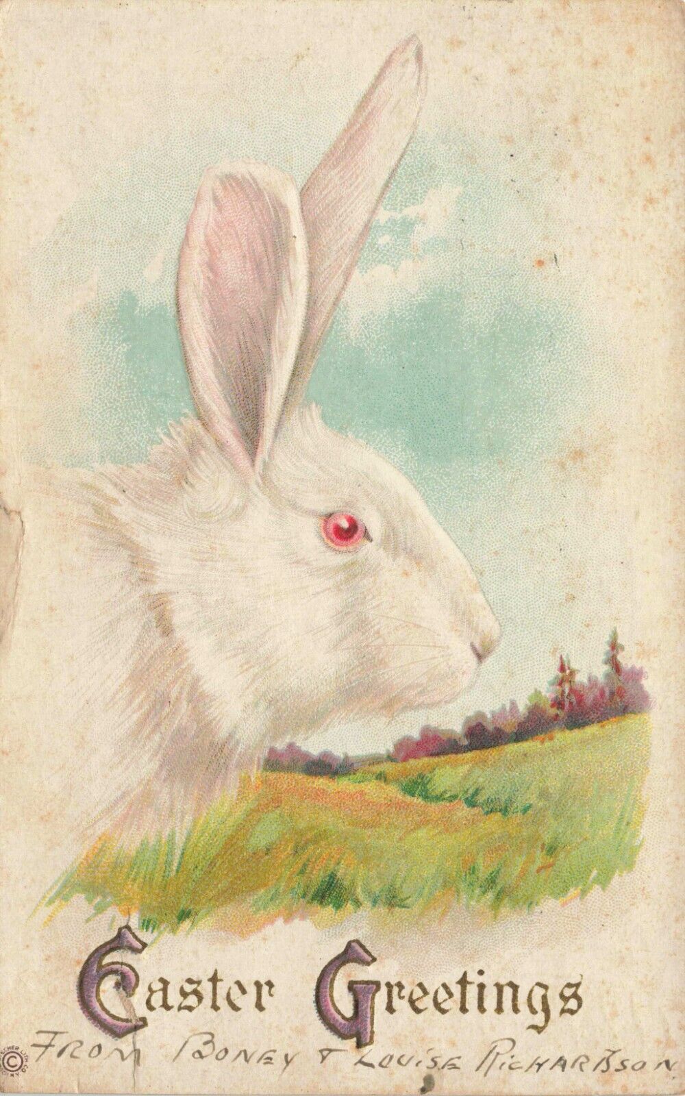 Postcard Easter Greetings Holiday DB 1921 Rabbit