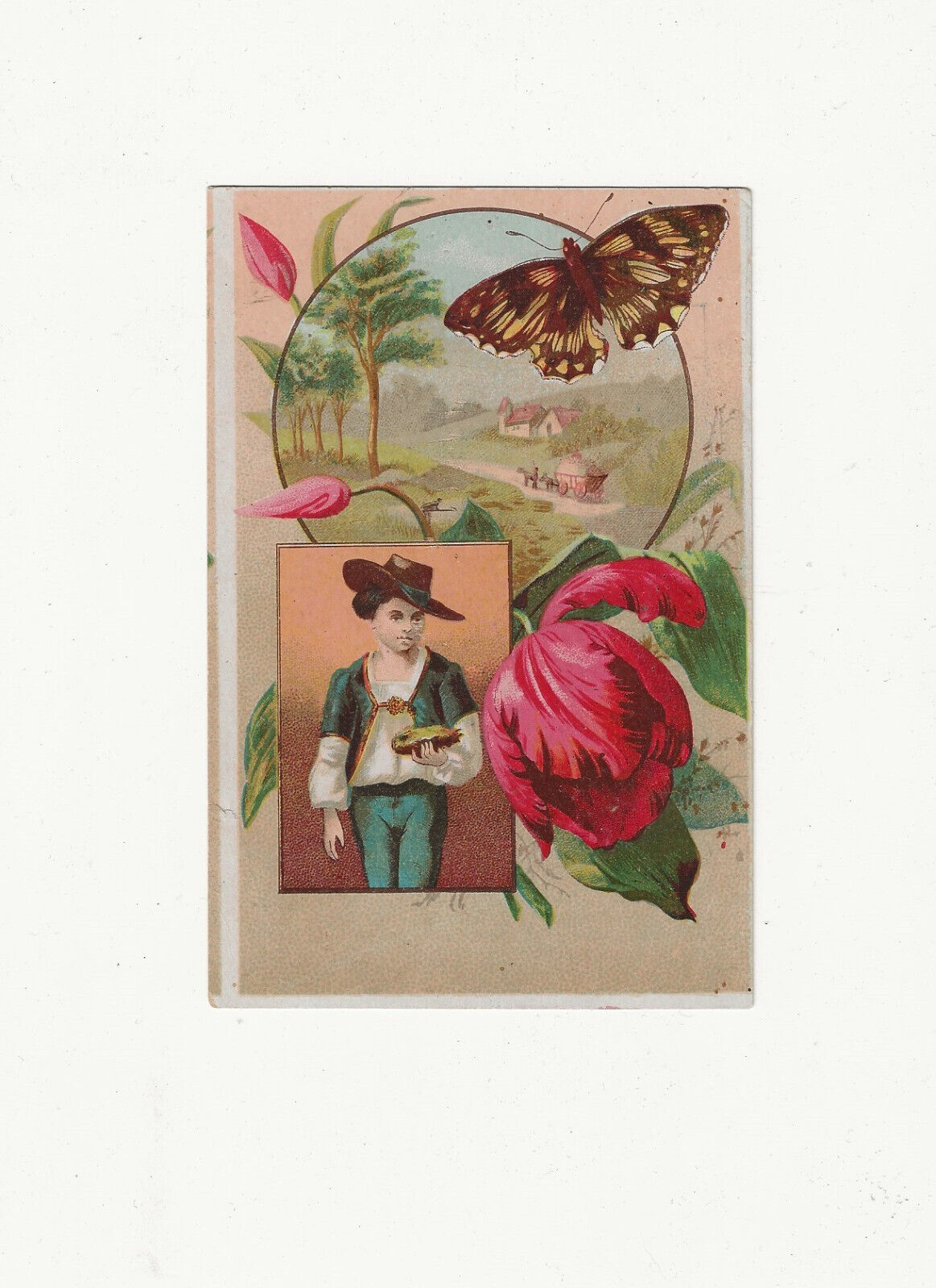 VTG 1894 Lion Coffee Woolson Spice Co. Toledo Ohio Trade Card Butterfly Flower