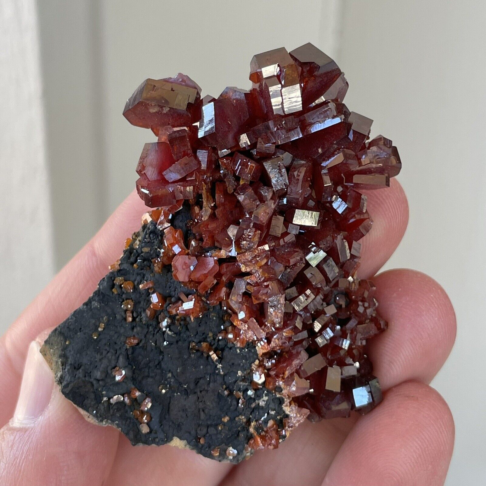 Rare 2.2” Red Gem Vanadinite w/ Goethite Crystal Cluster 45g - Morocco