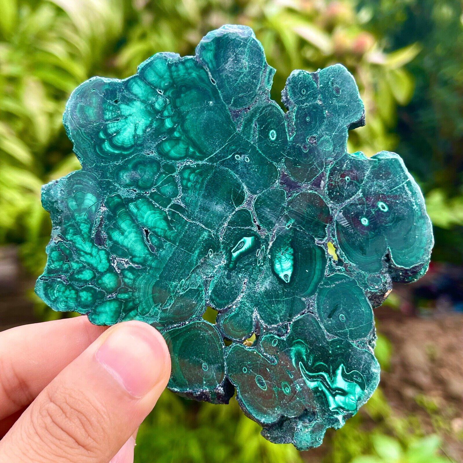 126G Natural glossy Malachite transparent cluster rough mineral sample