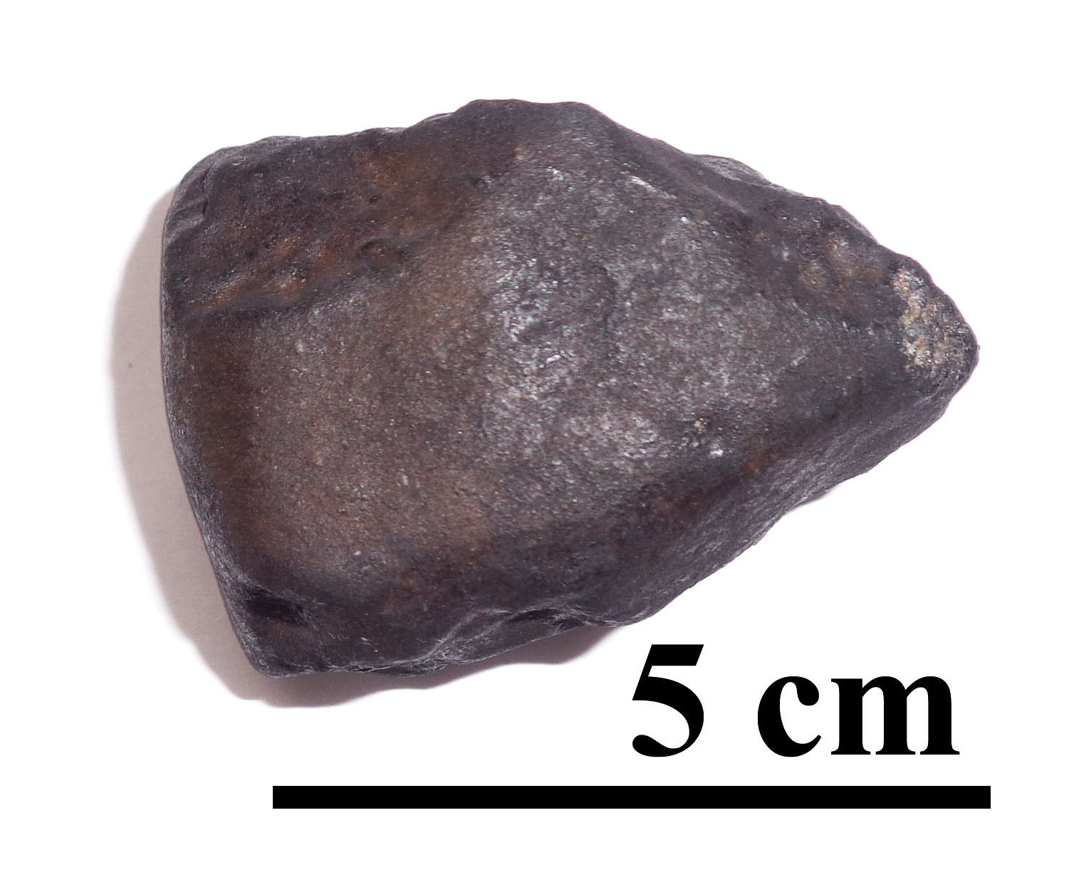 NEWEST OZERKI meteorite L6, fall June 21, 2018, Russia, individual 91.8 grams