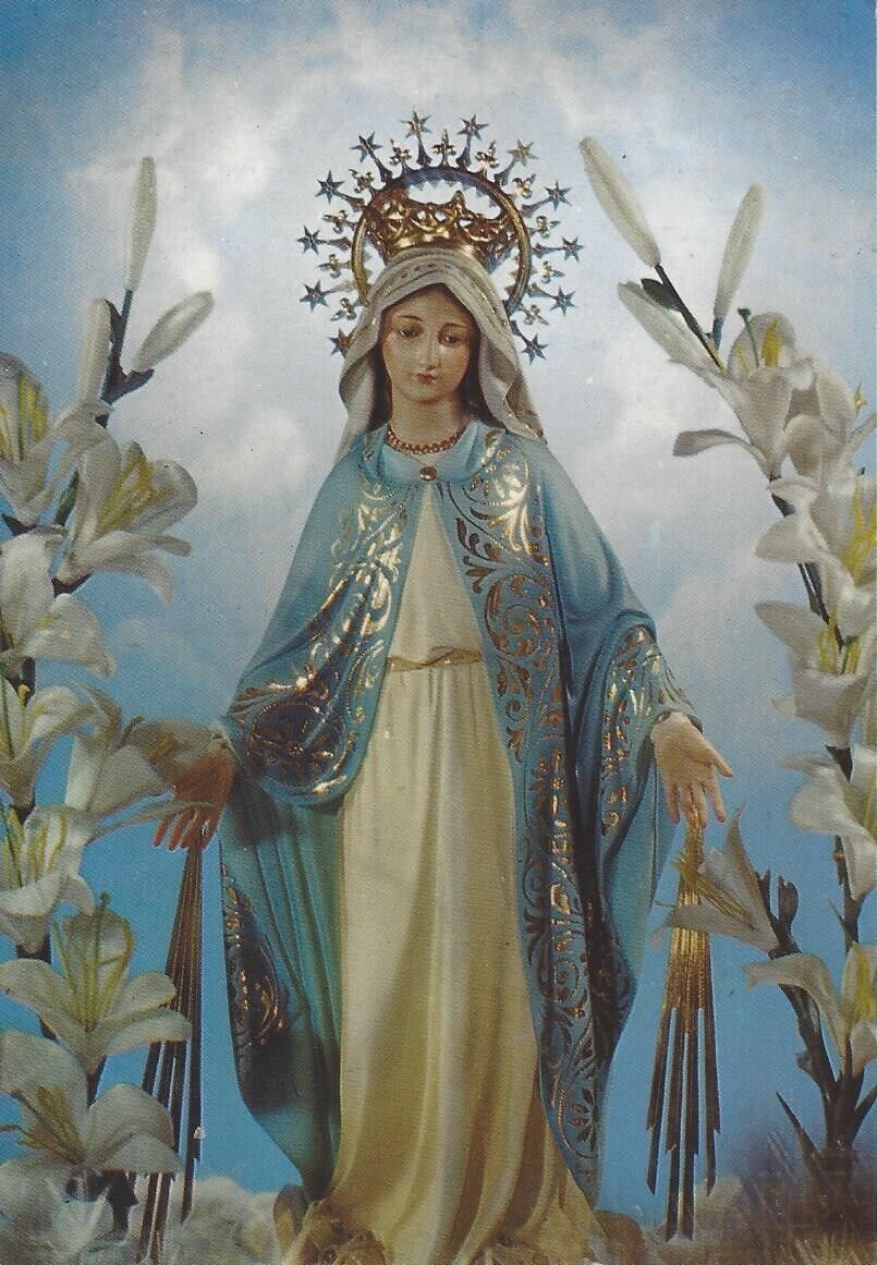 1 Postcard Our Lady of Grace N.S. de la Gracia Catholic Print Image Virgin Mary