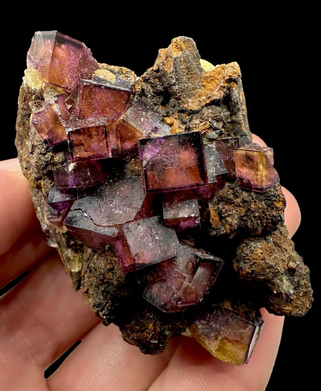 Fluorite Crystals: 10000 Ritter / Knights Mine. Saxony, Germany 🇩🇪