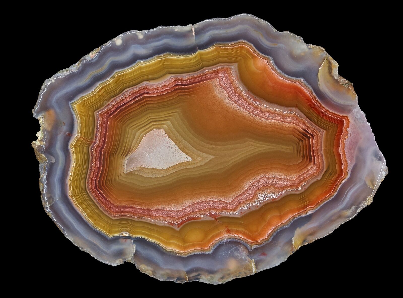 Amazing Banded Laguna Agate From Mexico Collectors Grade