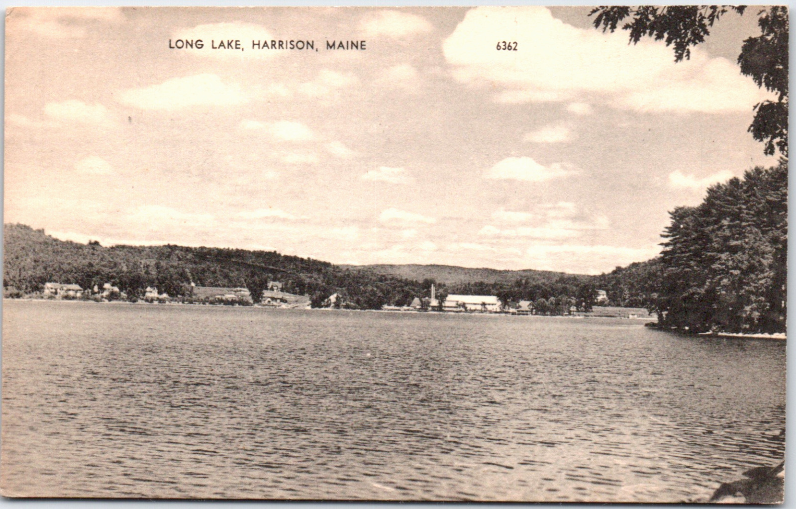 Harrison Maine ME Long Lake View Of Lake Homes Clouds Trees USA Vintage Postcard