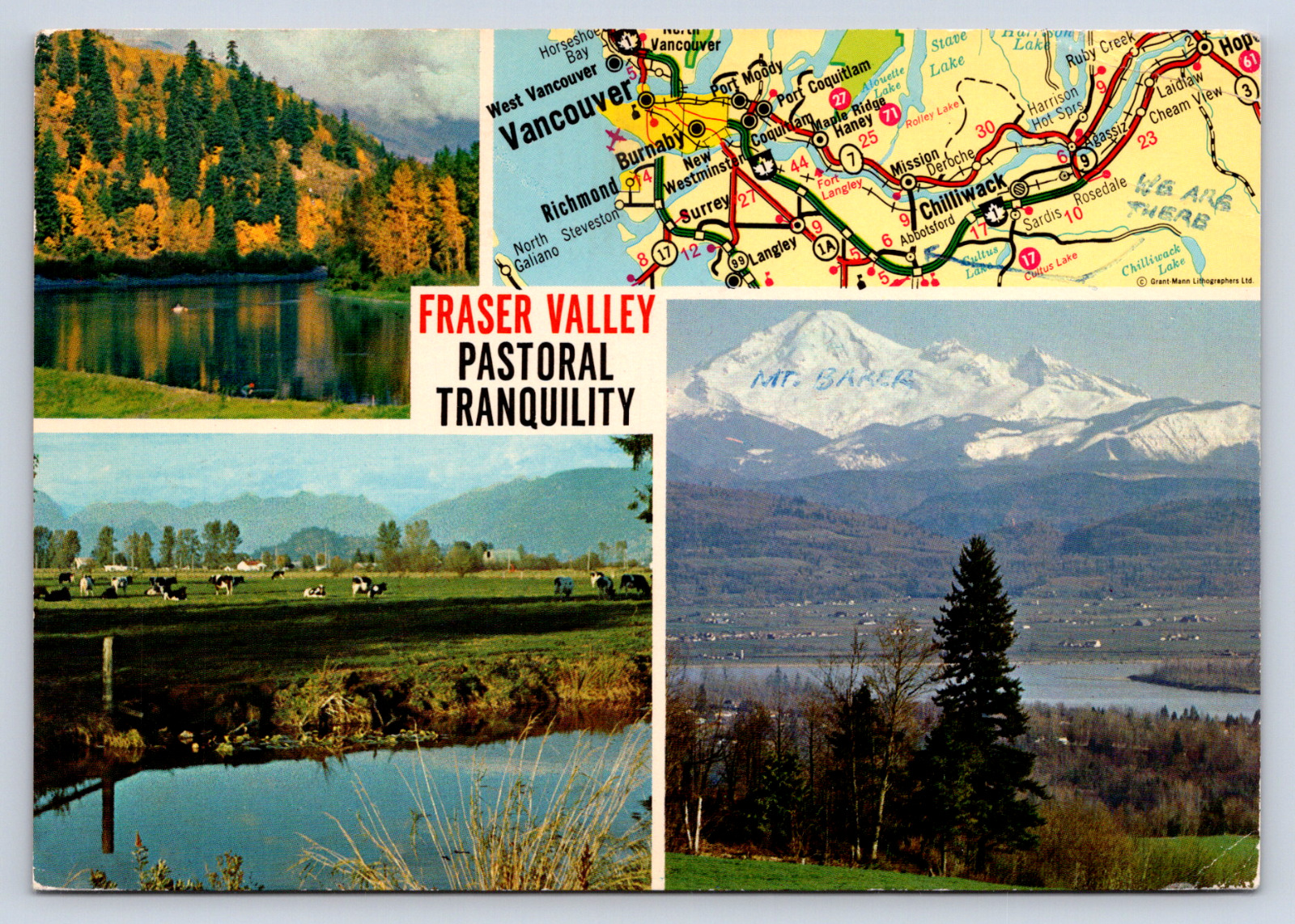 Vintage Postcard Fraser Valley Pastoral Tranquility British Columbia