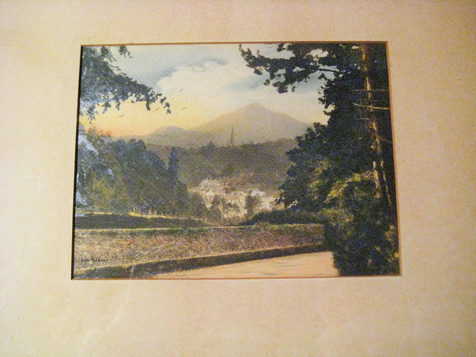  RARE VINTAGE PHOTOGRAPH ENNISKERRY IRELAND SIGNED WILLIAM ALFRED GREEN  c1930 