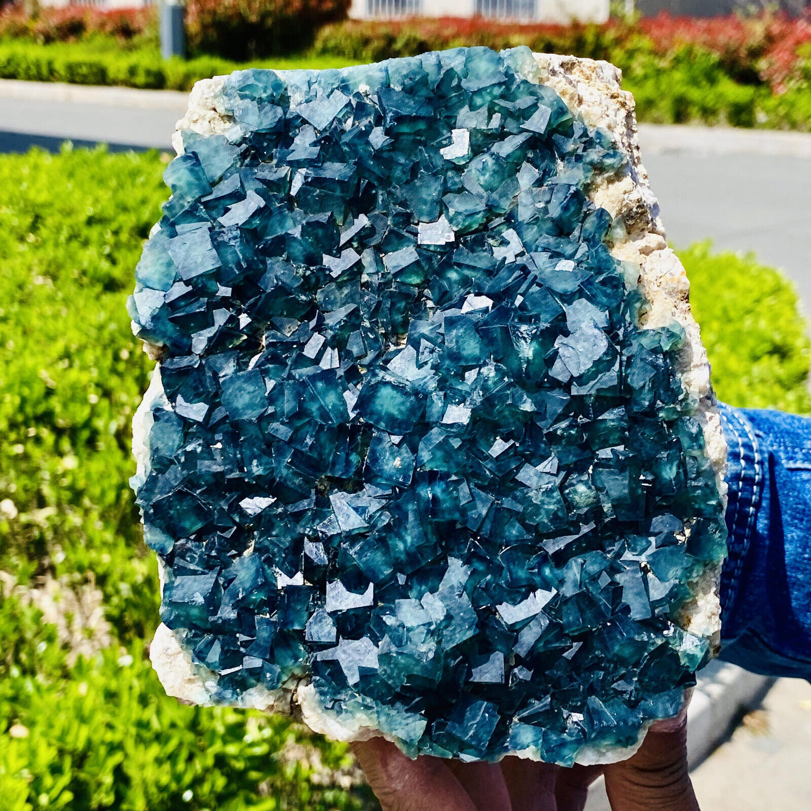 5.22LB Natural green cubic fluorite quartz crystal mineral specimen