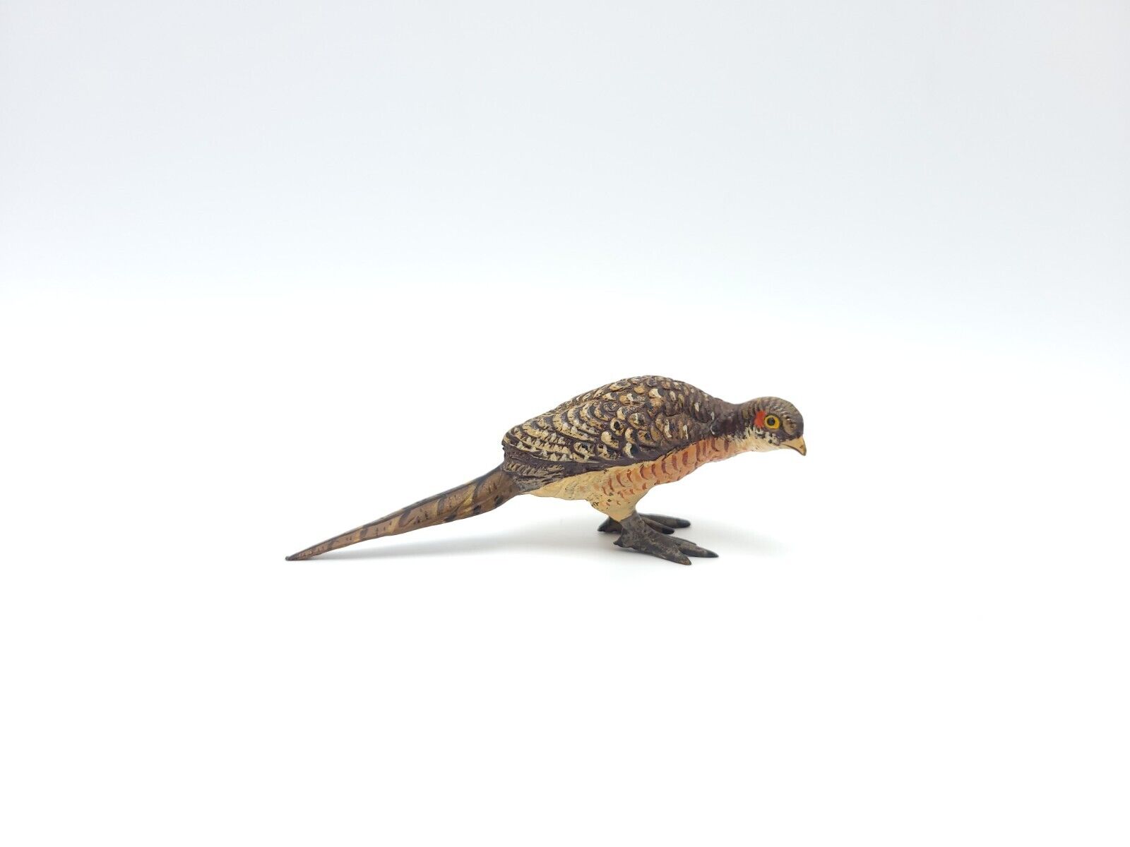 Austrian Bronze Bird Miniature Pheasant 
