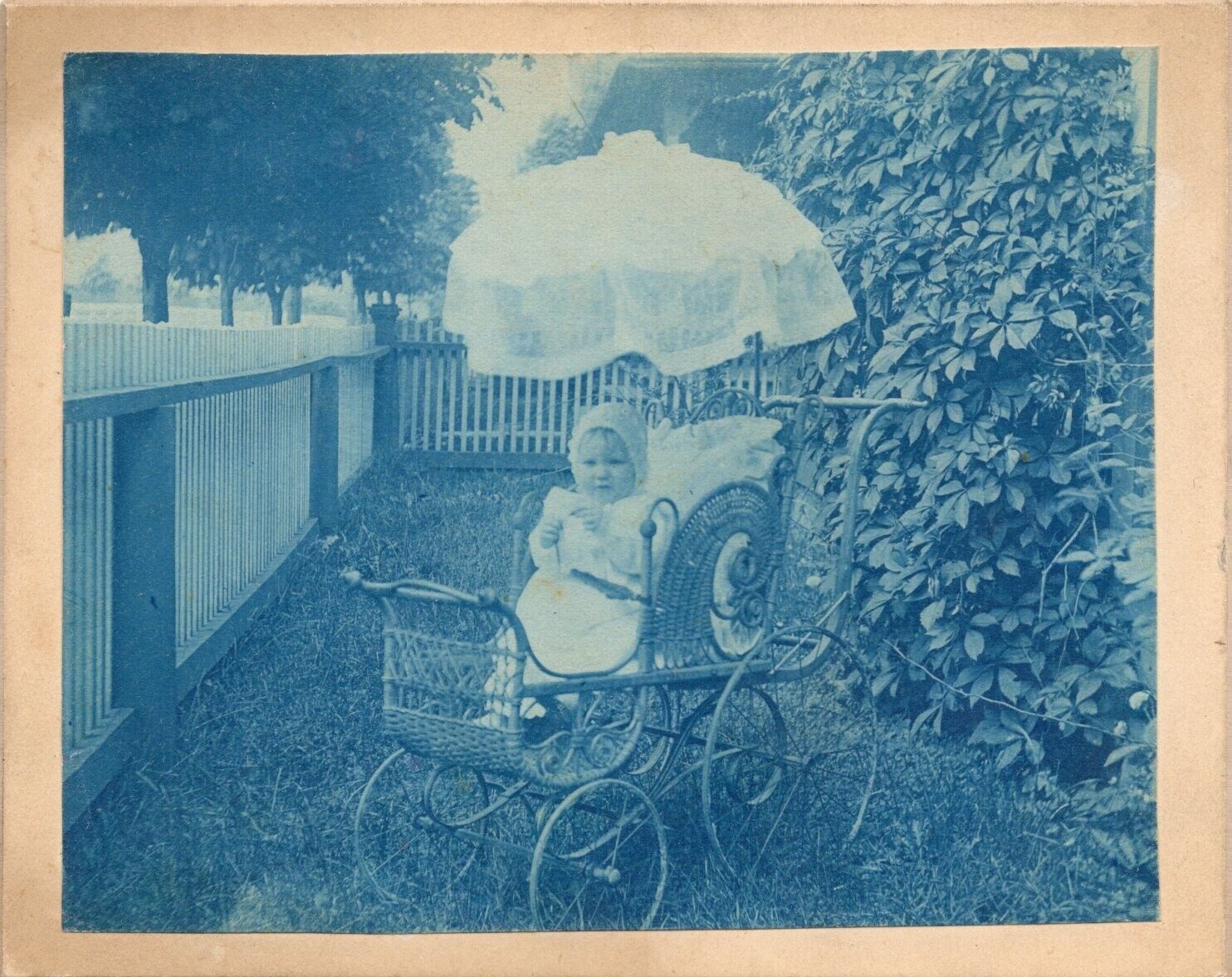 Baby in Ornate Victorian Wicker Carriage w/ Parasol Cyanotype Photo 4 x 5 in.