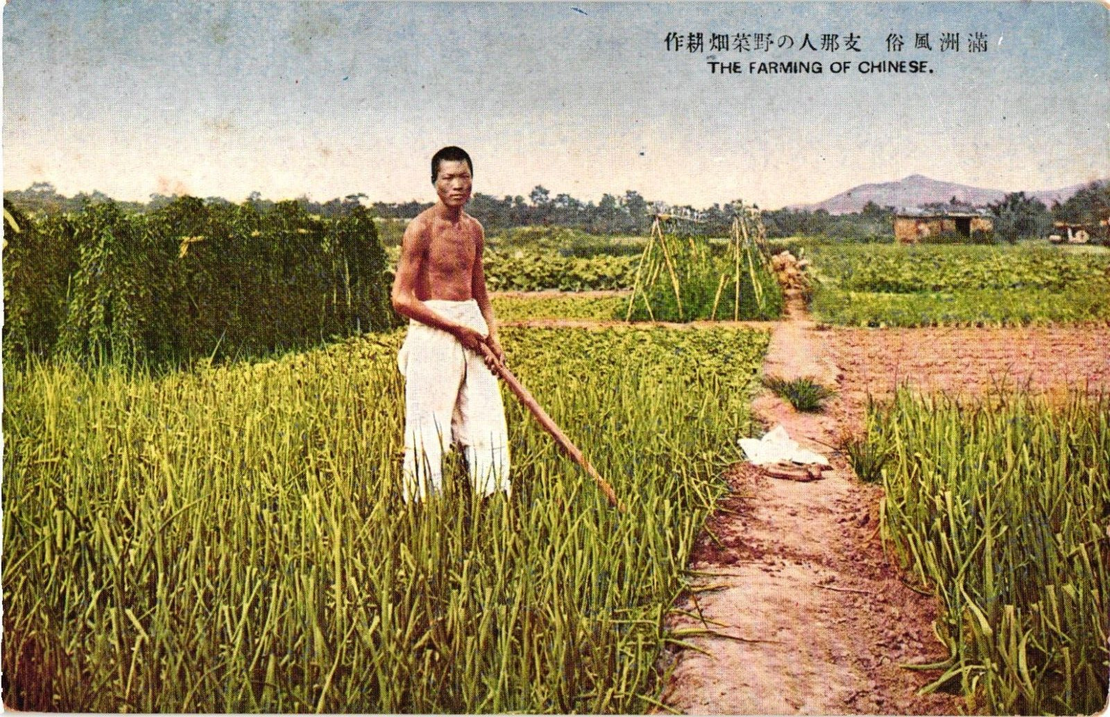 Farming of the Chinese Young Man Farmer China Antique Pre War Postcard Unposted