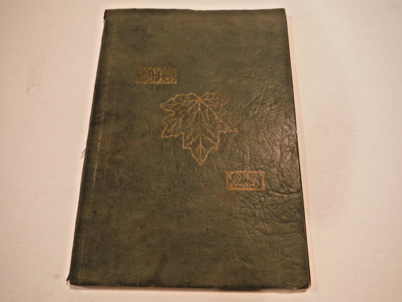 1925 Springfield High Oregon Year Book (99 years old)