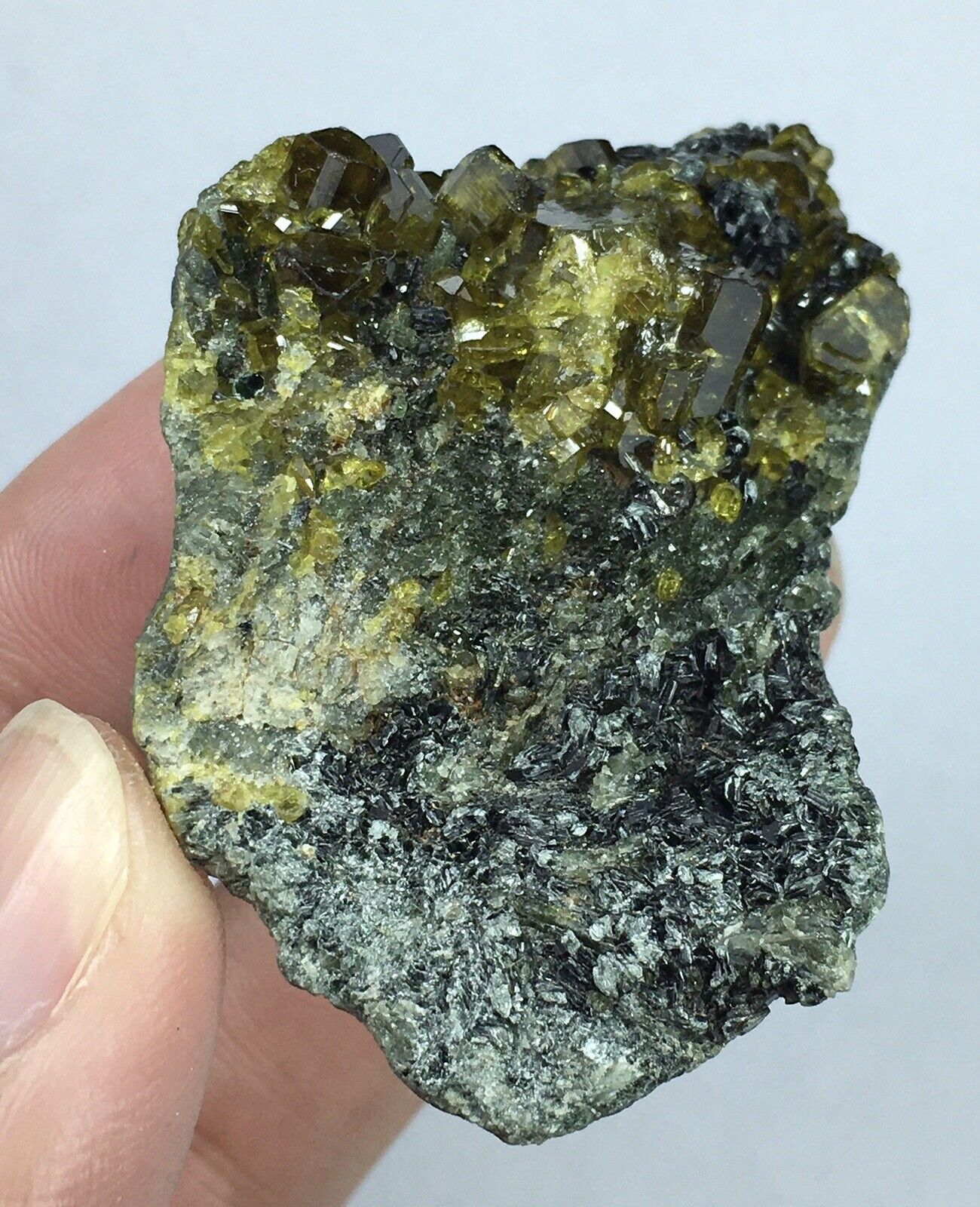 Epidote Cluster with clinochlore mica