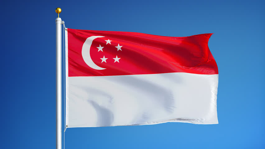 NEW SINGAPORE 3x5ft FLAG superior quality fade resist us seller