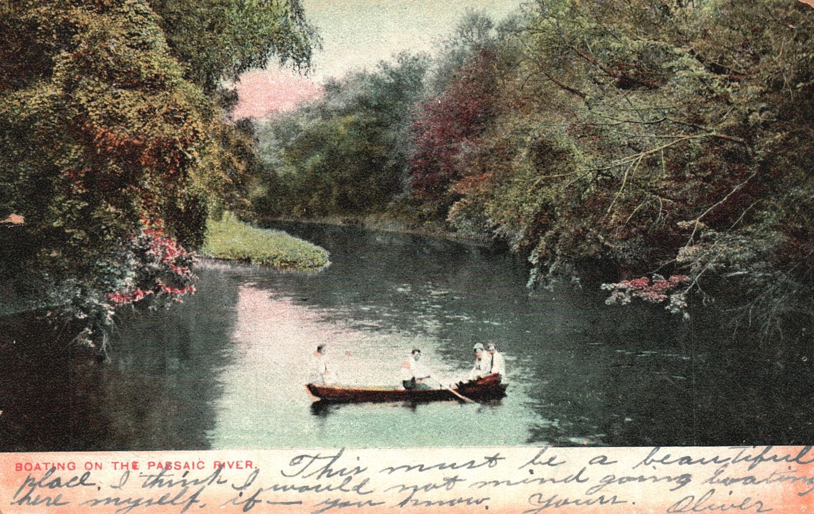 Boating On The Passaic River Along The Woods Canoeing Vintage Postcard c1910