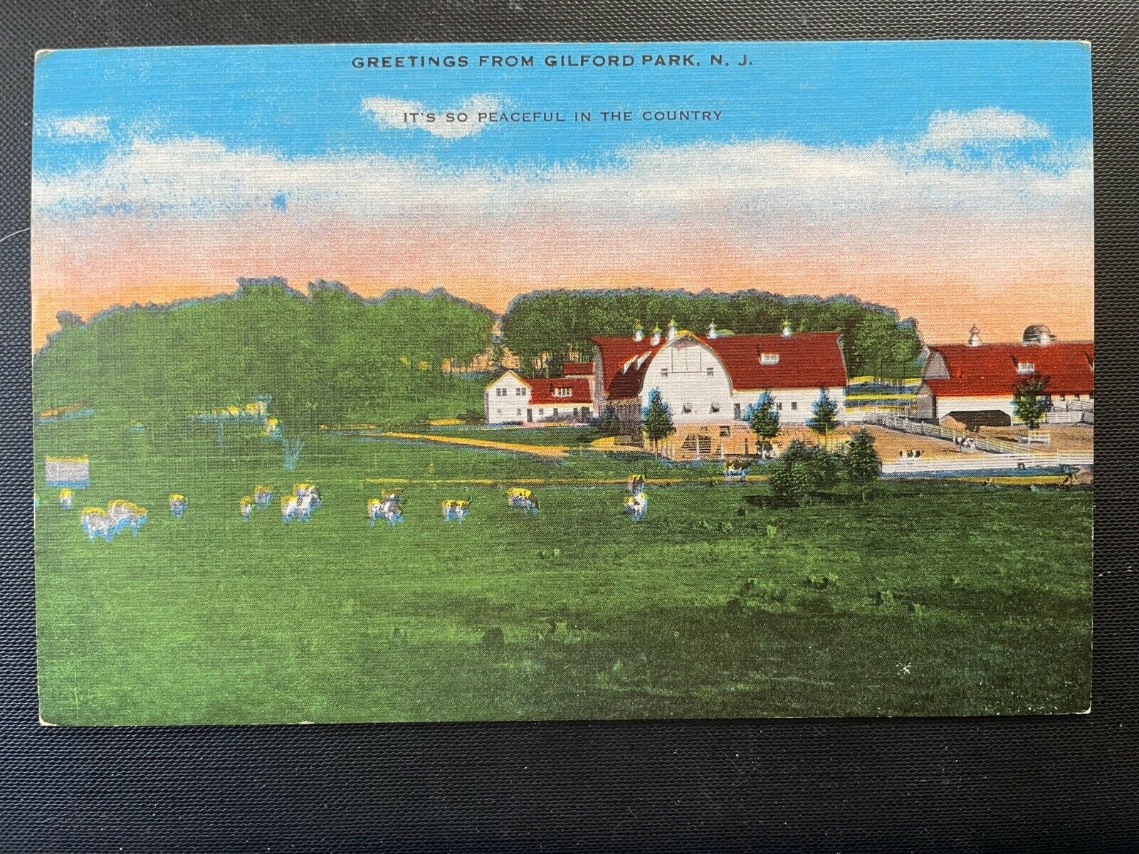 Vintage Postcard 1955 Greetings It\'s So Peaceful in the Country Gilford Park NJ