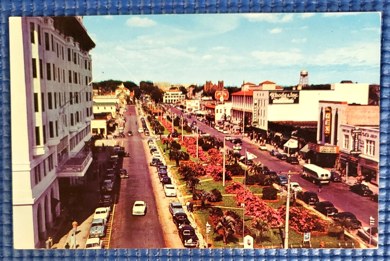 Vtg c1950s N Palafox Street Camellias & Azaleas in Bloom Pensacola FL Postcard