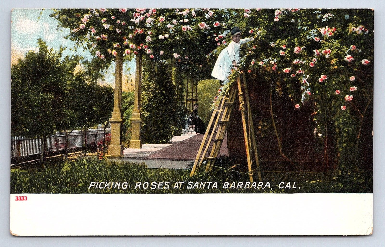 Postcard Picking Roses Santa Barbara California CA