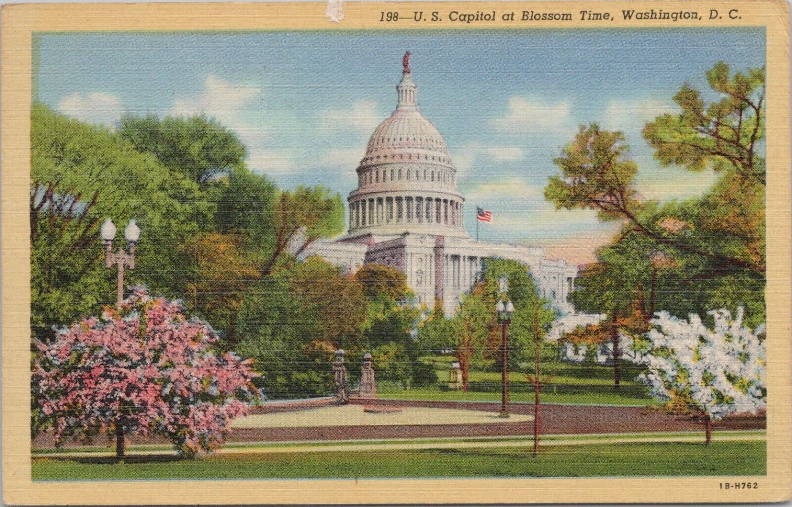 Linen PC * Washington DC View of U.S. Capitol at Blossom Time 1946