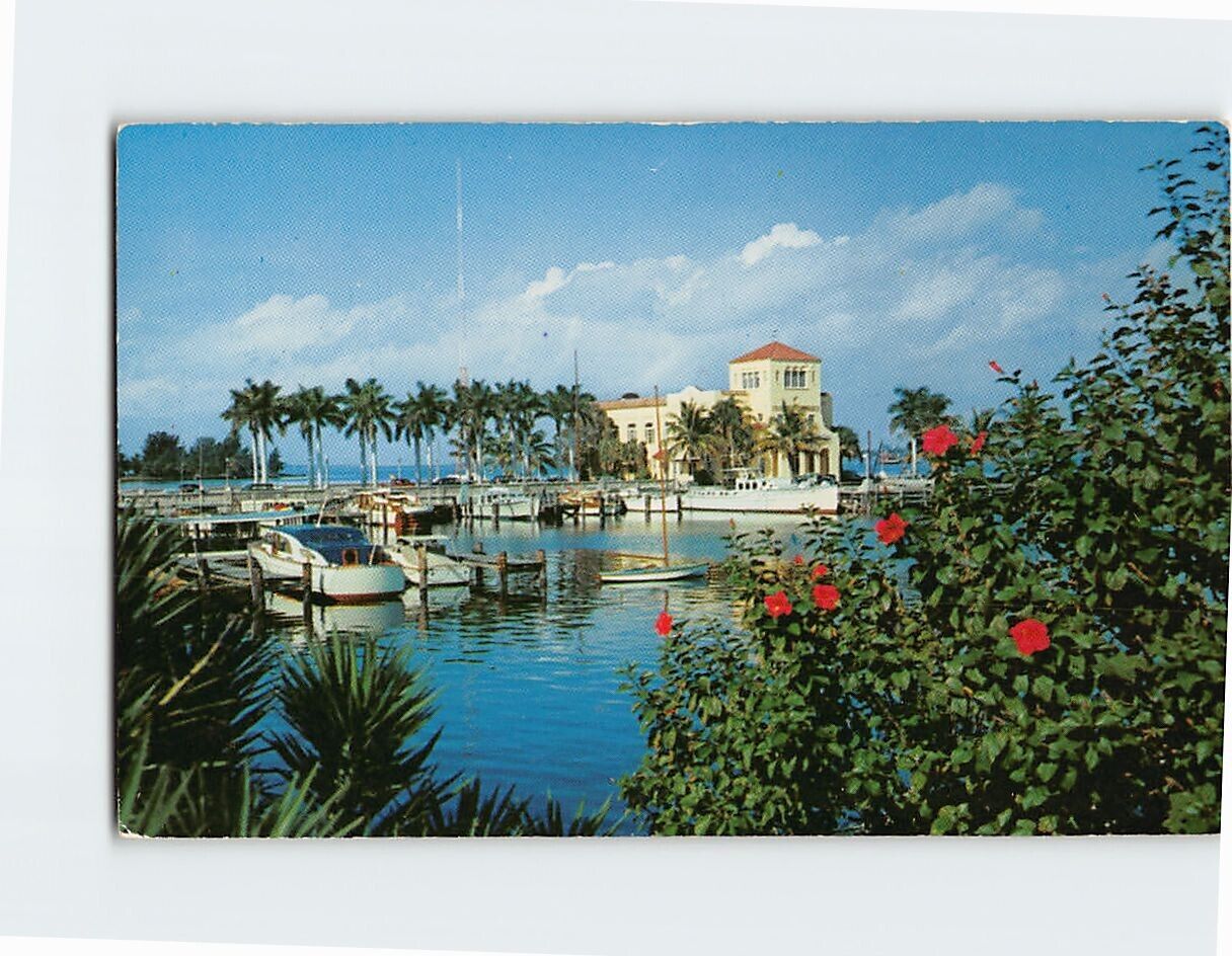 Postcard View Over Yacht Basin to Pier & Chamber of Commerce Bldg. Florida USA
