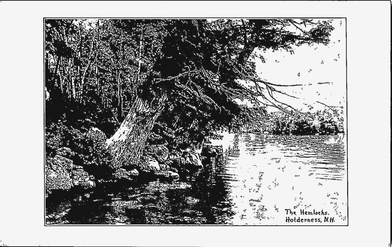 Post Card Hemlocks Holderness New Hampshire A9