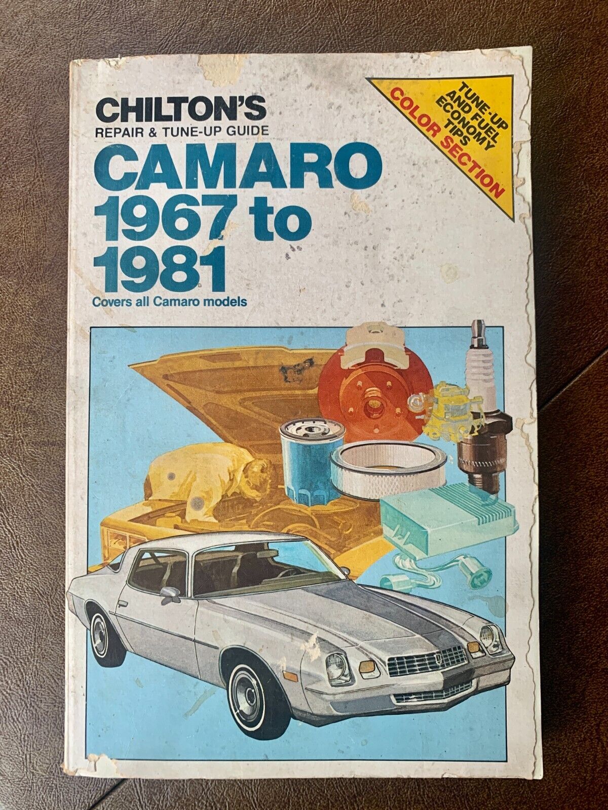 Chilton's Repair Guide CAMERO 1967-1981 All Models 356 Pages 1981