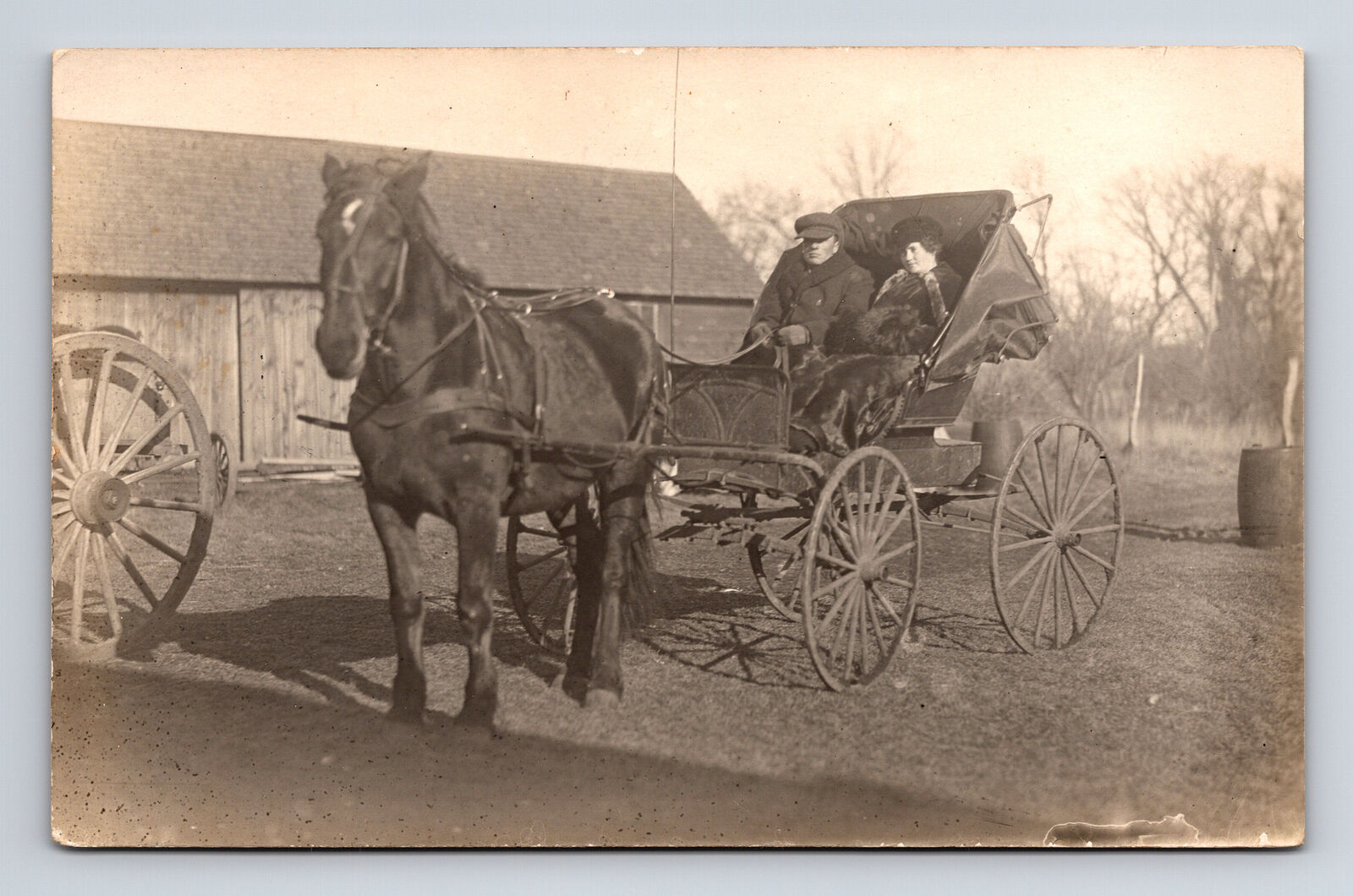 RPPC Man Woman Large Horse With Drawn Carriage Buggy at Farm Real Photo Postcard