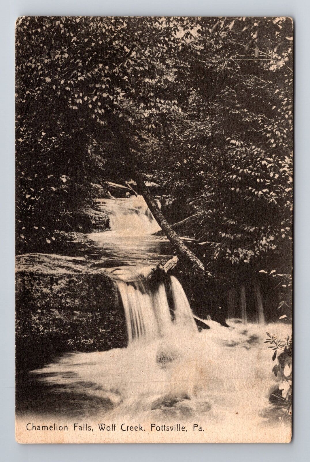 Pottsville PA-Pennsylvania, Chameleon Falls, Wolf Creek, c1907 Vintage Postcard