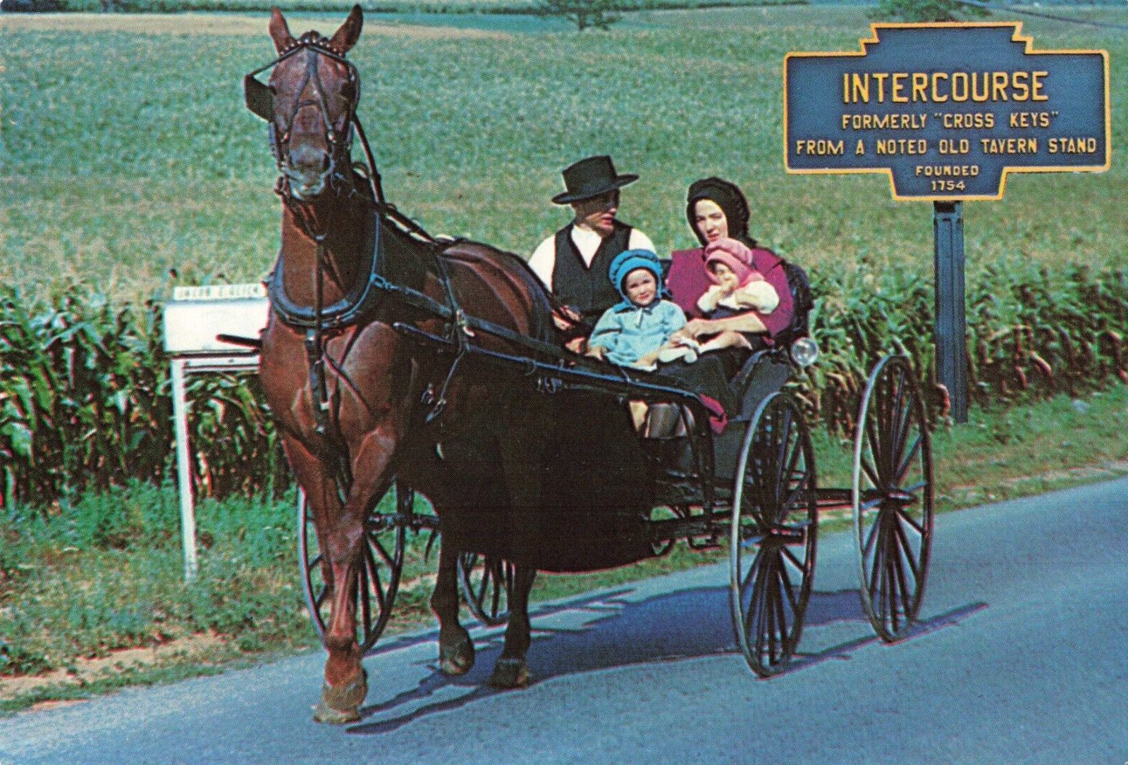 Intercourse PA Pennsylvania, Horse Carriage, Amish Family, Vintage Postcard