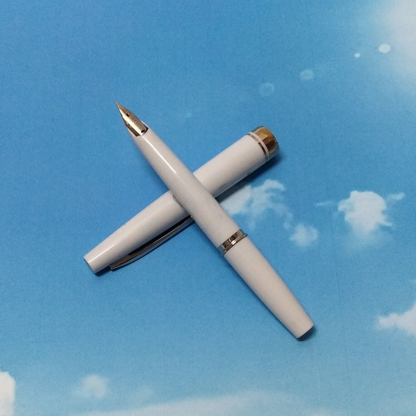 [Discontinued]PILOT Fountain Pen Elite 14K-585 White Engraved FreeShipping