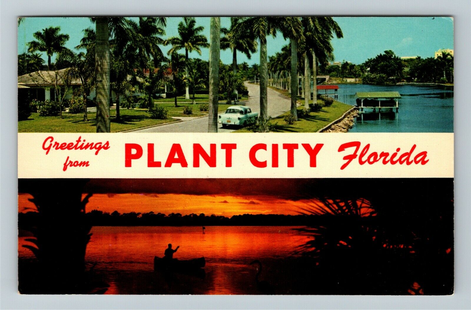 Plant City FL-Florida, General Greetings, Banner, Palm Trees, Vintage Postcard