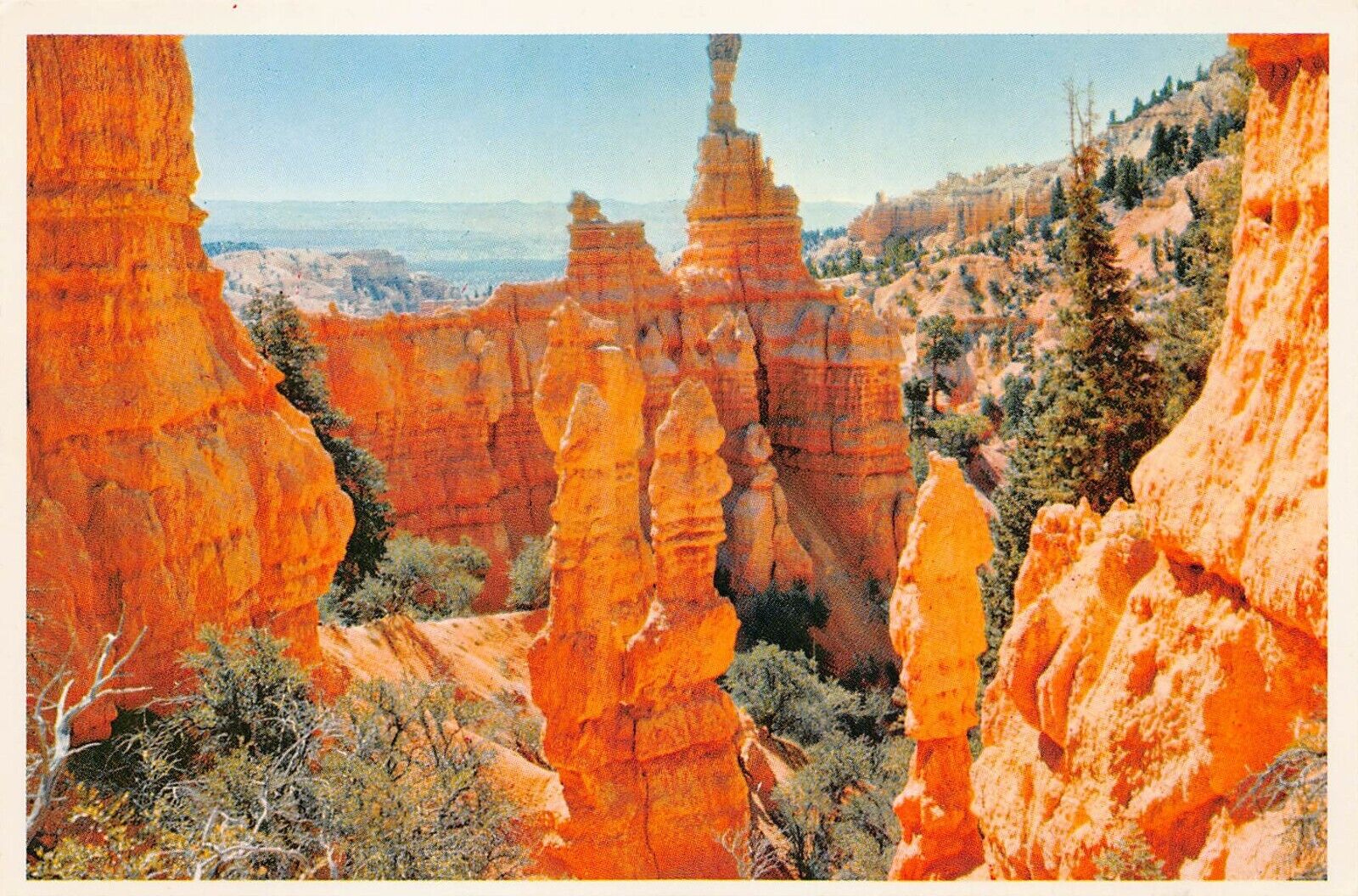 Vtg Postcard 6x4 Bryce Canyon UT Utah Fairyland Scenic View 1980s Postcard L1