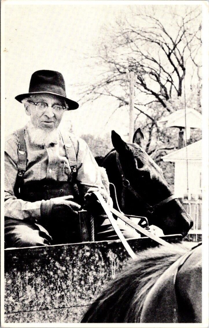 Kalona Iowa's Amishland Old Amish Horse Trader Man Vintage Chrome Postcard A98