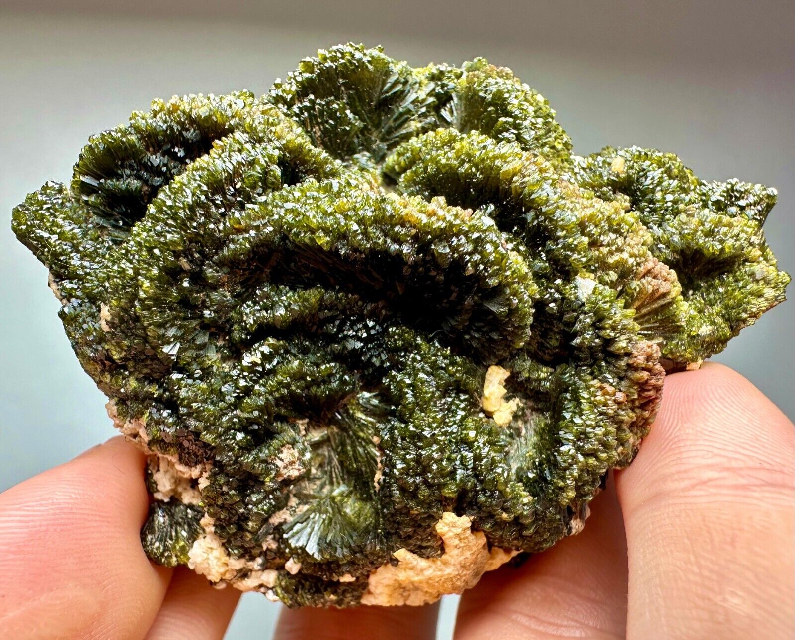 181 G. Full Terminated Very beautiful Epidote Crystals Cluster Bunch On Matrix