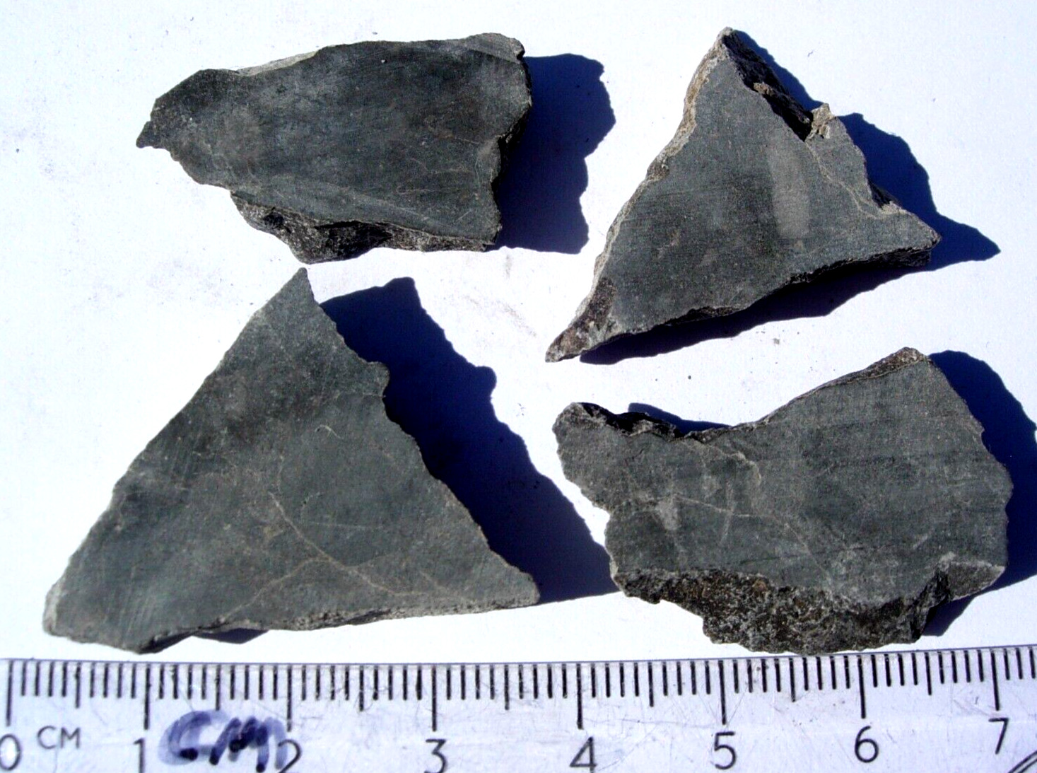 all 19.2 grams Alamo meteorite Impact Breccia from Nevada - unpolished slices