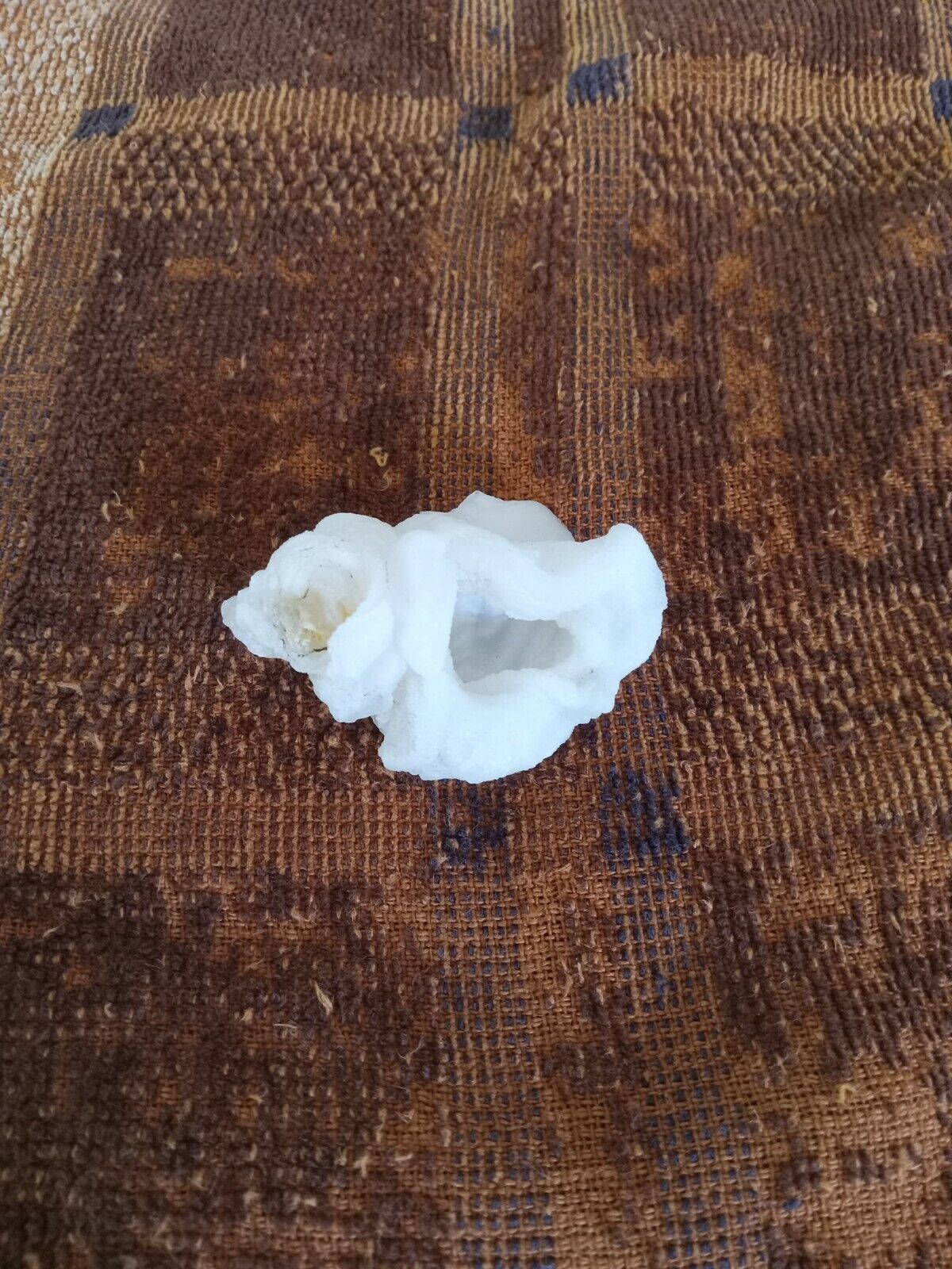 Unique White Flower-like Chalcedony mineral