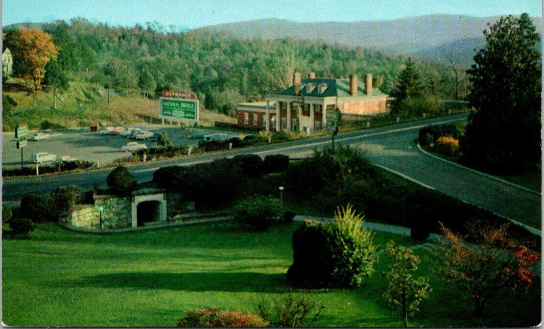 Rockbridge Center from Hotel Natural Bridge Virginia Vintage Postcard