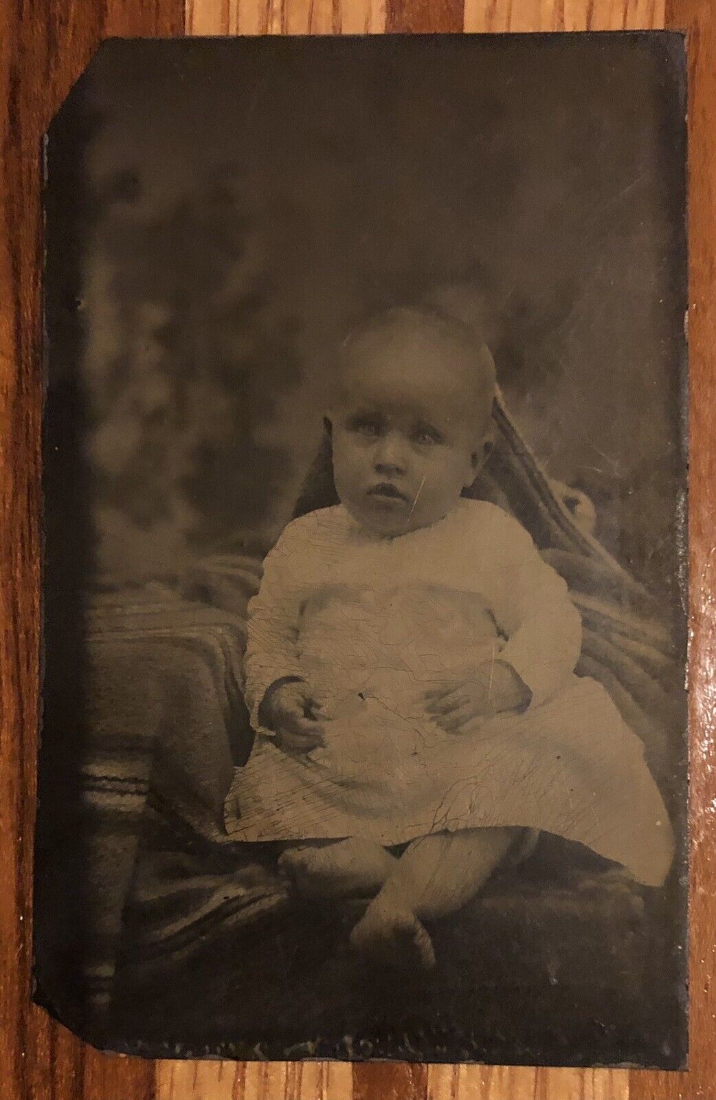 Young Child Kid Hidden Mother Tintype Photo