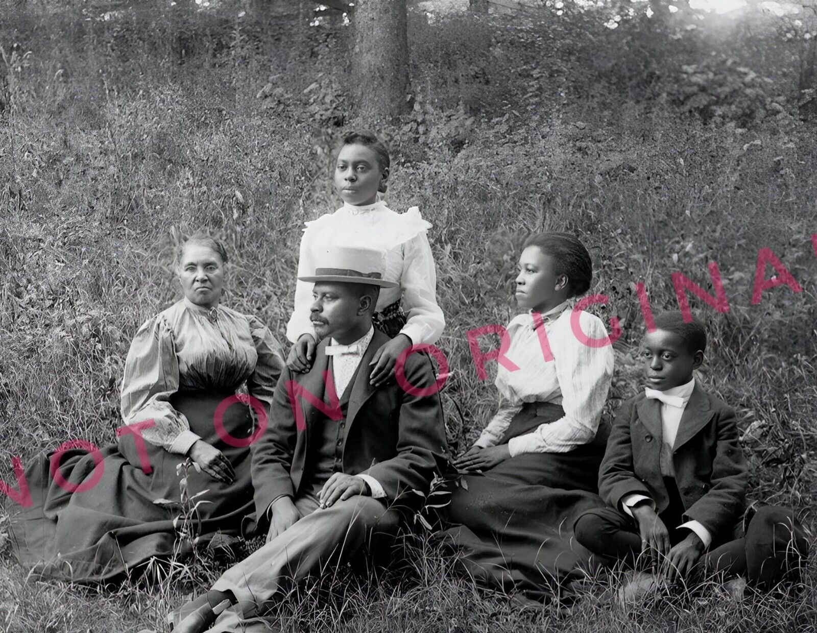 8x10 Vintage Photo Reprint of Wealthy African American Black Family c. 1900