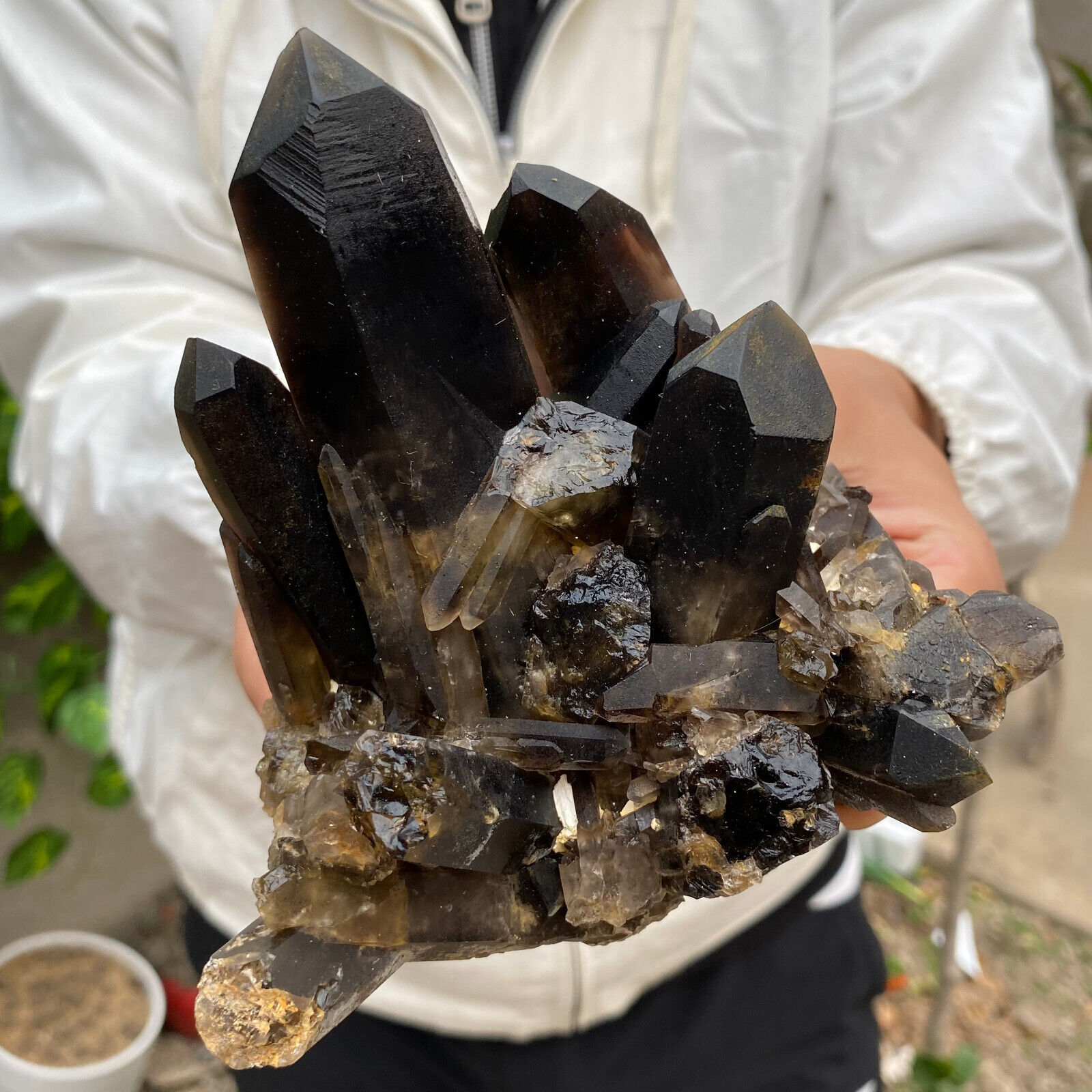 2lb Large Natural  Smoky Black Quartz Crystal Cluster Raw Mineral Specimen