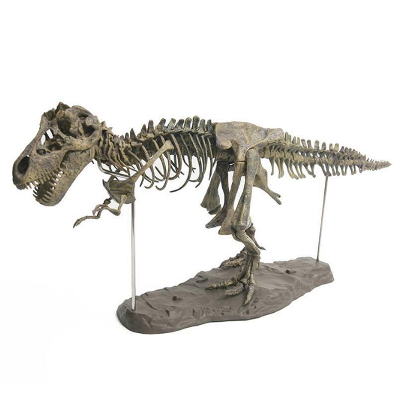 4D Dinosaur Skeleton Fossils Bones Puzzle Kids Toy Collection Animal Model Decor