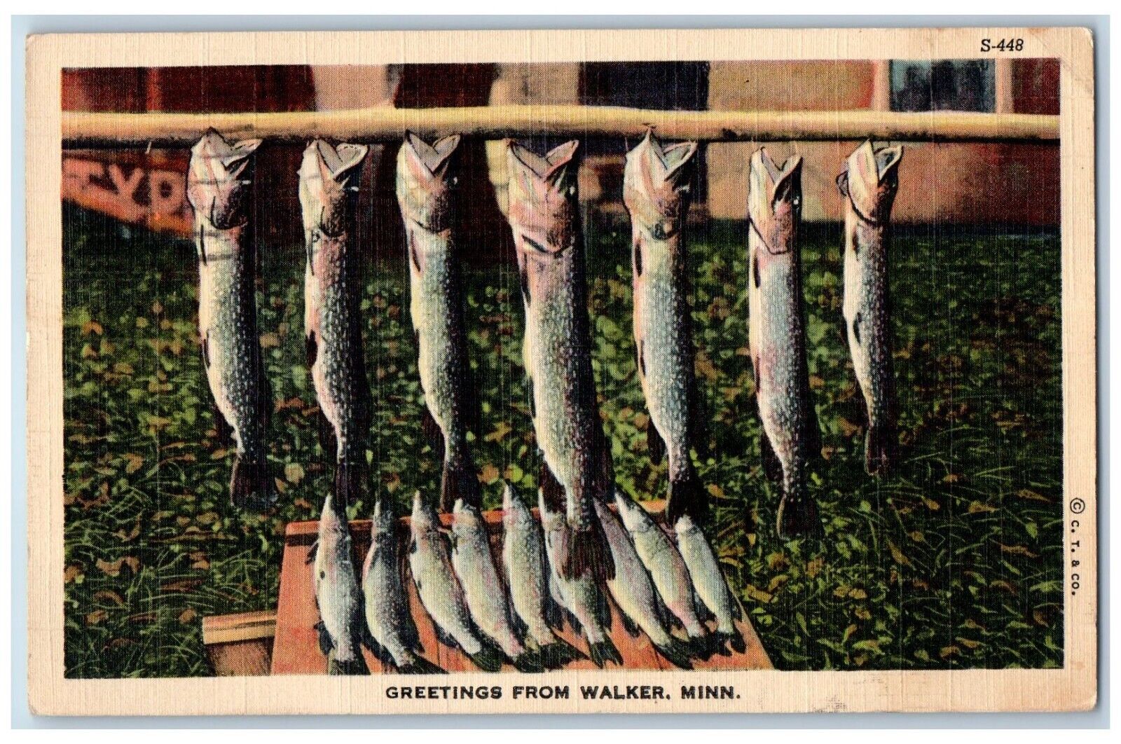 Walker Minnesota Postcard Greetings Hanging Fishes 1941 Vintage Antique Posted