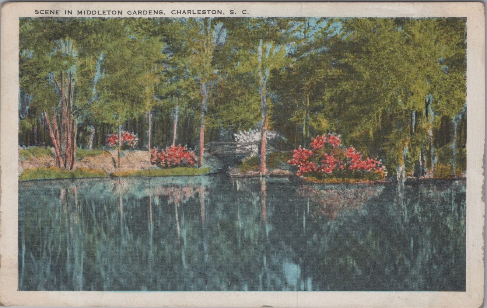 c1920s Postcard Magnolia Gardens Charleston South Carolina SC UNP 5806.2