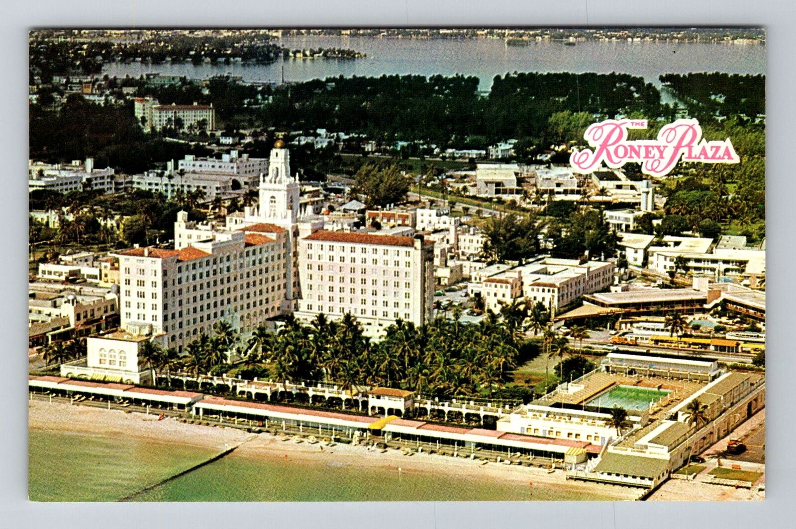 Miami Beach FL-Florida, Roney Plaza, Advertising, Vintage Postcard