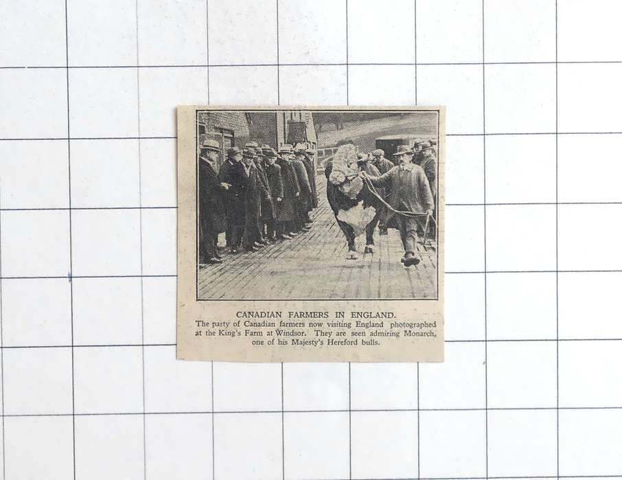 1928 Canadian Farmers at Kings Farm At Windsor, Monarch The Hereford Bull