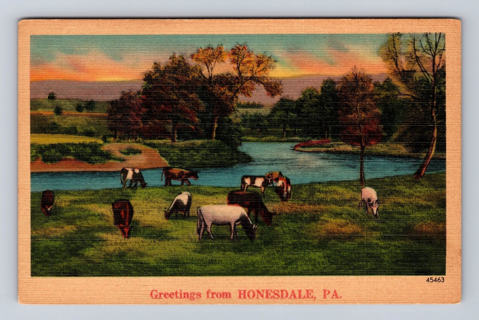 Honesdale PA-Pennsylvania, Scenic Greetings, Cattle, Antique, Vintage Postcard
