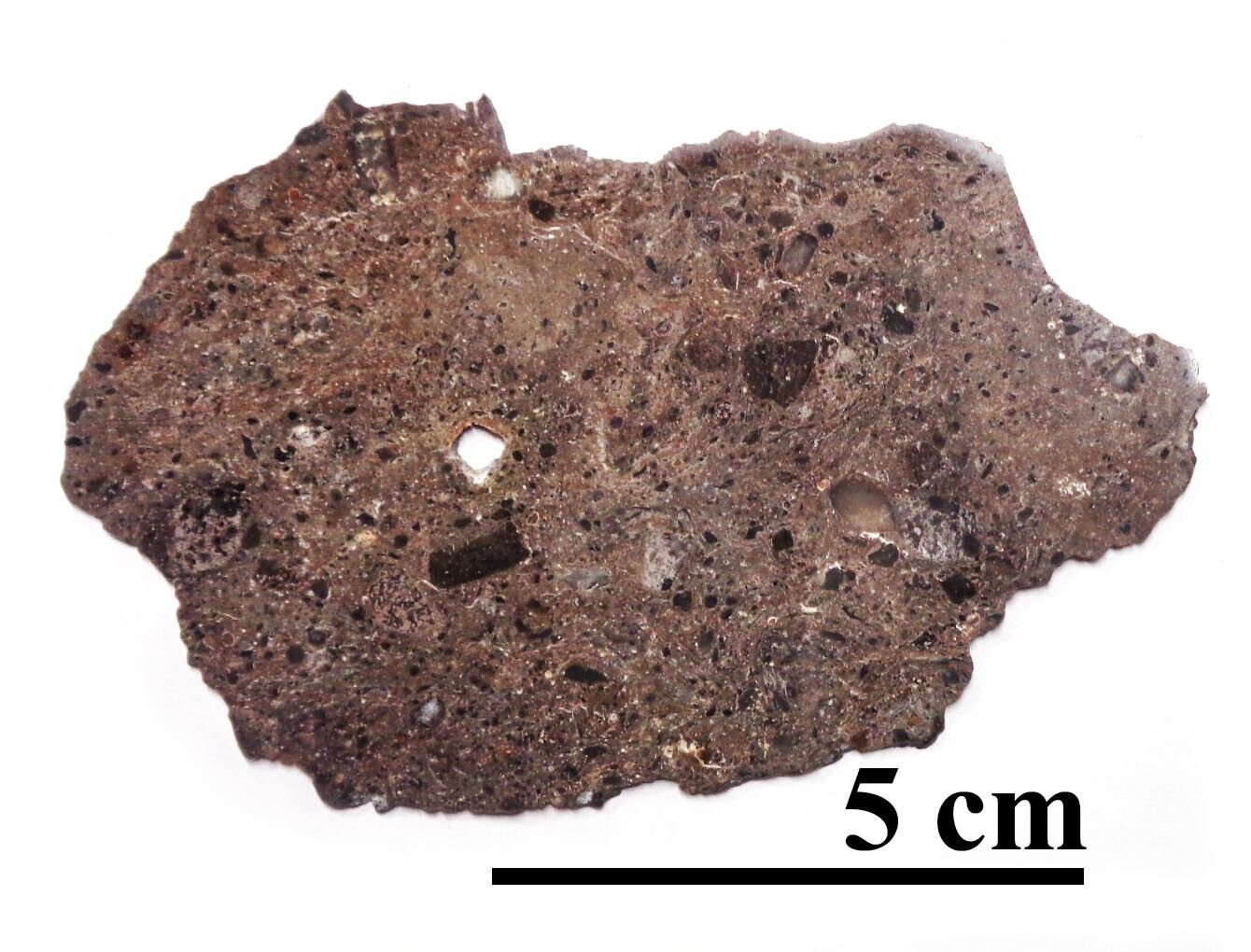 NEW Tisserlitine 001 LUNAR, feldspathic regolith breccia, complete slice 13.7 gr