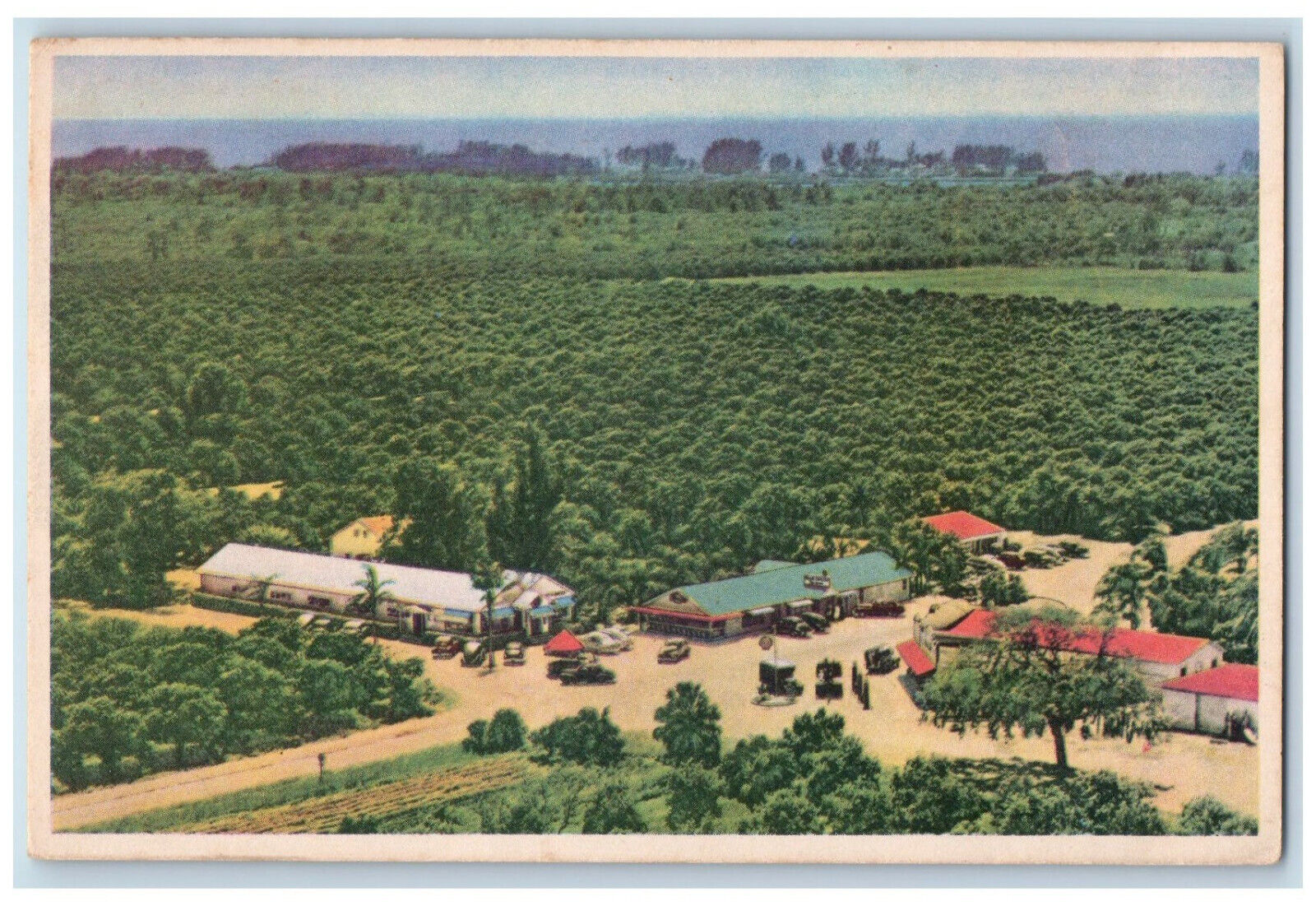 c1950\'s Indian Rocks Fruits Inc Palm Gardens Dining Room Largo FL Postcard
